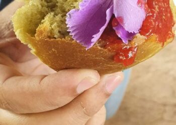 Plante sua “carne”! Abertas as inscrições para a 2ª edição da Oficina “Do Mato Para o Prato”