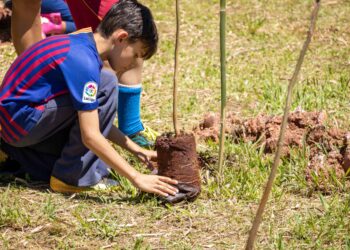 Cotia celebra o Dia da Conservação do Solo com Pedágio Ambiental e plantio de árvores