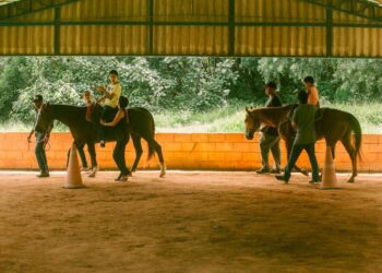 Terapia com animais ajuda na qualidade de vida de pessoas com deficiência