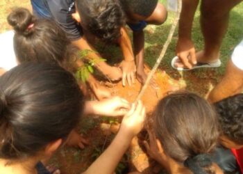 SMAA planta mais de cem mudas durante mais uma ação do Cotia +Verde