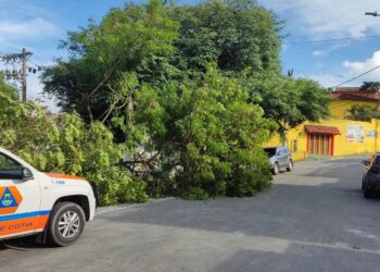 No carnaval, Defesa Civil atendeu a 25 ocorrências relacionadas às fortes chuvas