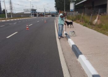 Diversos bairros recebem trabalhos das equipes de pintura da Prefeitura