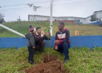 Fim de semana teve Horta nas Escolas Pedágio Ambiental e Cotia +Verde para celebrar o Dia do Meio Ambiente