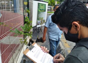 Dia da Mata Atlântica é lembrado com Pedágio Ambiental em Cotia