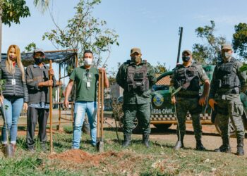 Plantio de árvores nativas marca o Dia de Proteção às Florestas
