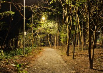 Com iluminação Parque Teresa Maia tem horário de funcionamento estendido