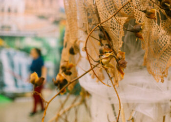 Exposição ‘Diversidade e Conectividade’ é aberta para visitação no CAC