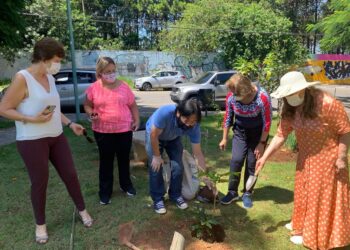Plantio de uma Roda do Fogo marca a celebração dos 116 anos do Rotary