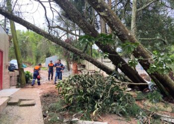 Defesa Civil recebeu mais de 50 chamados de emergência na tarde desta quarta-feira (27/11)