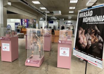 Museu Catavento traz exposição itinerante sobre evolução humana para Cotia