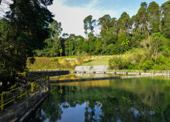 Visita à Estação de Tratamento de Água com trilha pela Reserva Florestal Morro Grande marca a estreia da Jornada do Patrimônio Cultural de Cotia