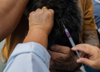 Secretaria de Saúde realiza a “2ª Vigilâncias em Ação” no Complexo Esportivo Arakan