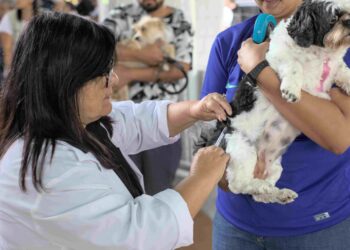 Sábado, 25, tem ação de vacinação antirrábica de rotina para cães e gatos