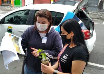 Cotia doa centenas de mudas de árvores nativas e sementes de Ipê no Pedágio Ambiental 