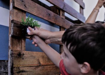 Projeto Acolher chega à quarta edição com quase 50 atendidos