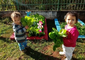 Mais uma unidade da rede municipal recebe o Projeto Horta nas Escolas