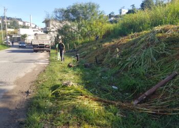 Atendendo a uma denúncia anônima Prefeitura evita invasão de área   