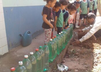 Projeto escolar estimula alimentação saudável entre as crianças   