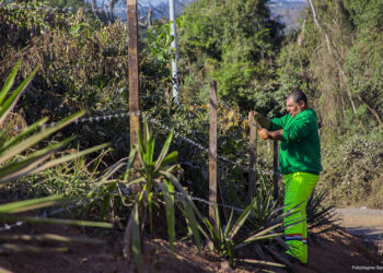 Prefeitura intensifica fiscalização em áreas invadidas   