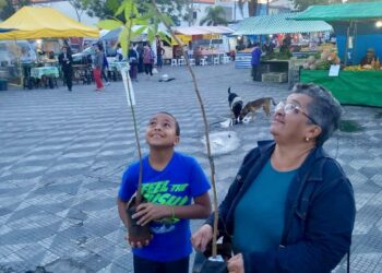 Mais de 150 mudas de árvores são doadas em Caucaia do Alto   