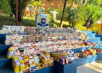 Arraiá e solidariedade: Colégio Desafio arrecada 1400 kg de alimentos para famílias carentes