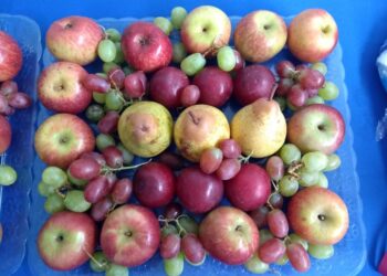 Projeto Emagrecer Certo inicia a segunda turma com mais de 40 participantes