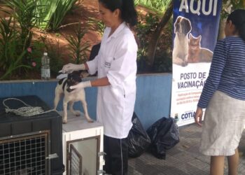 Evento de Adoção garante um novo lar para 18 cães e cinco gatos