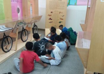 Alunos de Cotia apresentam trabalhos sobre exposição do Instituto Butantan   