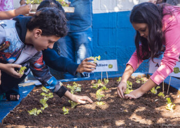 Plantio palestra apresentação cultural e musical marcam ação da Semana do Meio Ambiente na EM Francisca Manoel de Oliveira