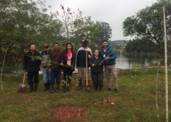 Cotia lembra o Dia de Proteção à Floresta com plantio de espécies da Mata Atlântica