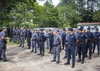 Guarda Civil e Polícia Militar Ambiental fazem operação na Reserva do Morro Grande em Cotia   