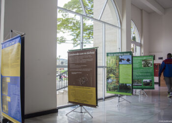 Exposição itinerante sobre fauna silvestre passa por Cotia   