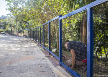 Parque Municipal Chico Anysio passa por reforma   