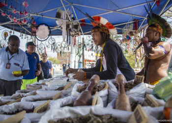 ‘Museu Pataxó’ estará em Cotia até o final de outubro   