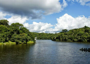 Cotia desenvolve ações de conscientização para celebrar Dia Mundial da Água