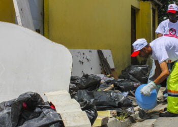Mutirão contra o Aedes passa por centenas de casas no Jardim Rosemary   