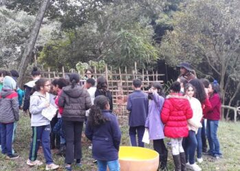 Em junho mais de 400 crianças visitaram o Sítio do Mandú   