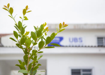 Colorido das flores embeleza as UBS’s de Cotia   