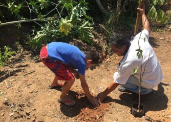 Programa “Cotia +Verde” passa pelo Jardim Nossa Senhora das Graças