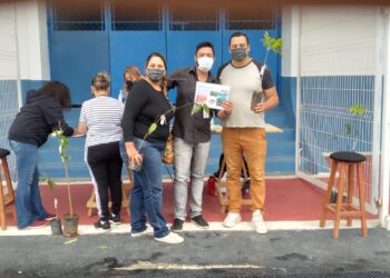 Centenas de mudas foram doadas durante o “Pedágio Ambiental”