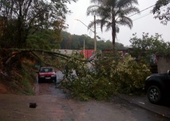 Defesa Civil reforça efetivo para atender ocorrências relacionadas à chuva
