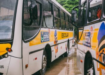 Transporte Escolar e TEG aprovados em vistoria recebem o Selo de Autorizado