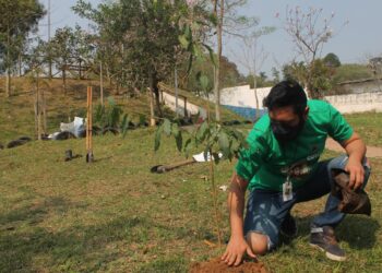 Em mais uma edição o programa Cotia Mais Verde faz o plantio de centenas de mudas de árvores