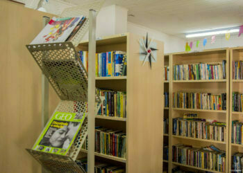 Biblioteca de Caucaia prepara atrações para as férias