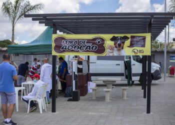 Sábado (18/12) tem mais uma edição do Evento de Adoção de Animais