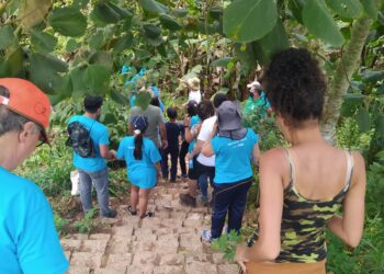 Sítio Ecológico Semeando promove 1ª vivência ecológica em Cotia