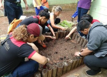 SMAA realiza três projetos ambientais no Centro de Educação Luminar