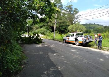 Operação Verão: Defesa Civil atendeu mais de 40 ocorrências em 15 dias