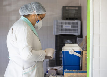 Mais de 820 pessoas se vacinaram em postos volantes e campanha contra a gripe termina dia 24