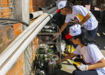 Metade dos imóveis visitados pelos agentes de combate à dengue não abre as portas para a inspeção